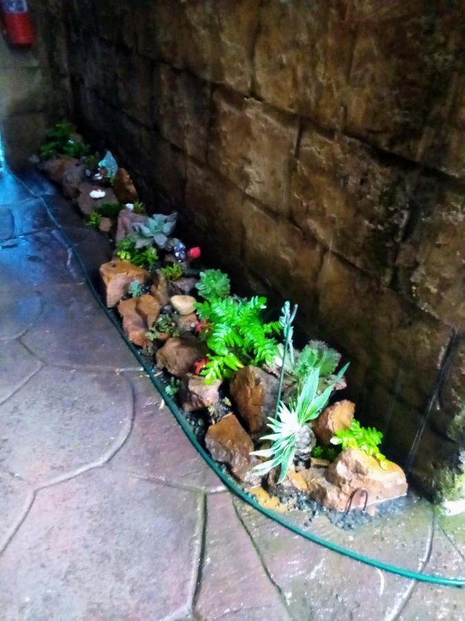 Rock Art Guesthouse Witbank Ngoại thất bức ảnh